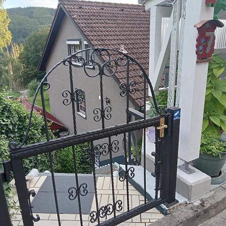 Haus Wiesental Kleines Wiesental Экстерьер фото