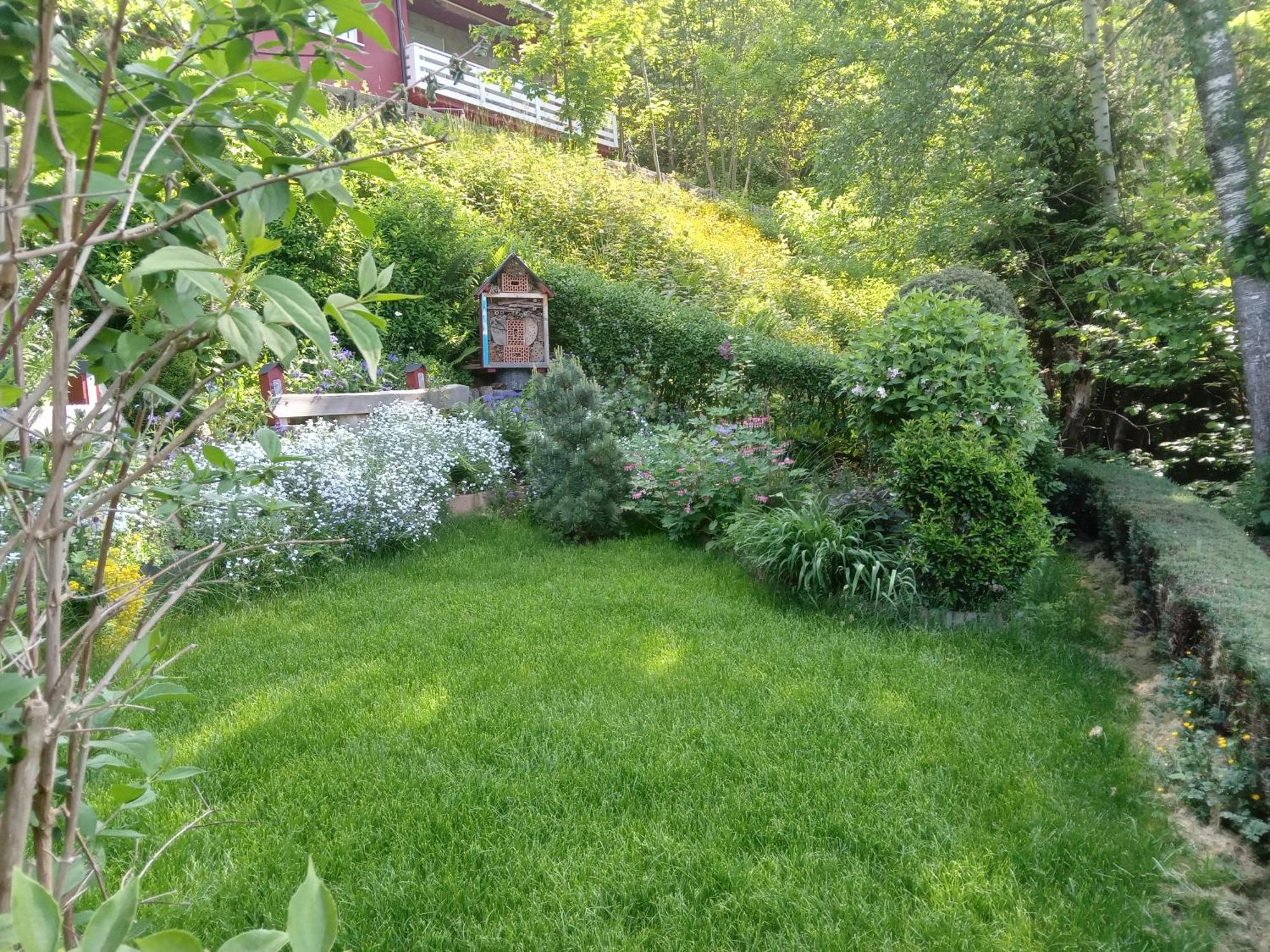 Haus Wiesental Kleines Wiesental Экстерьер фото
