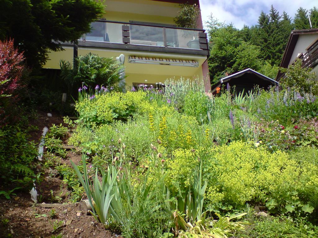 Haus Wiesental Kleines Wiesental Экстерьер фото