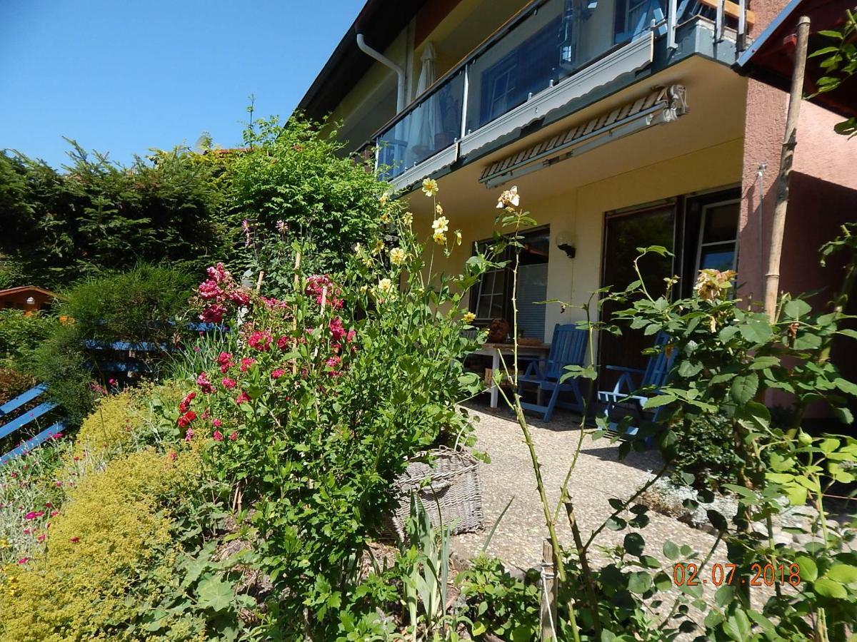 Haus Wiesental Kleines Wiesental Экстерьер фото