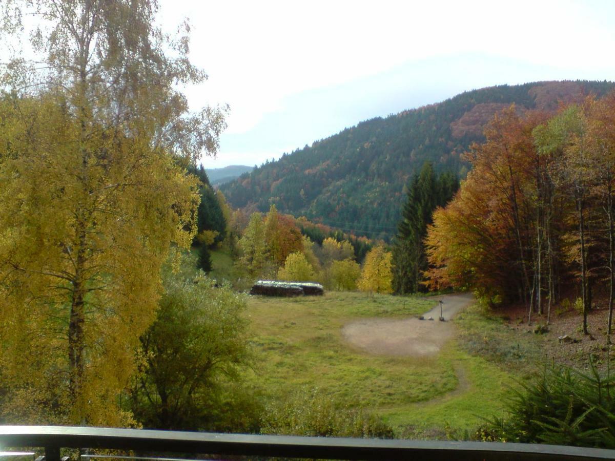 Haus Wiesental Kleines Wiesental Экстерьер фото